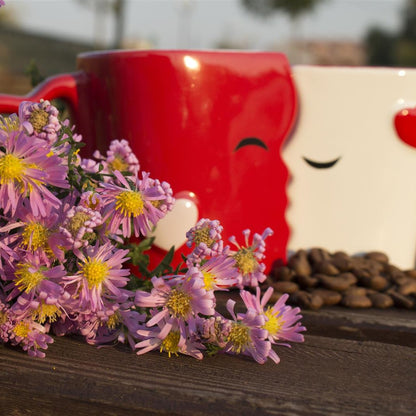 Kissing Mugs Set